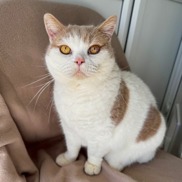 Bill new pic for Website Bill new pic for Website