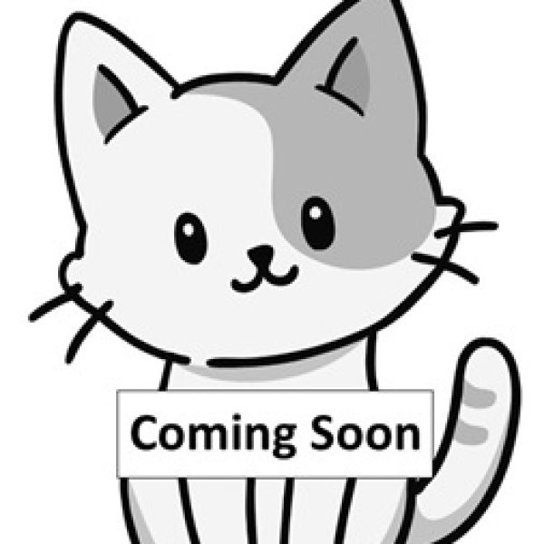 Cat coming soon image Cat coming soon image