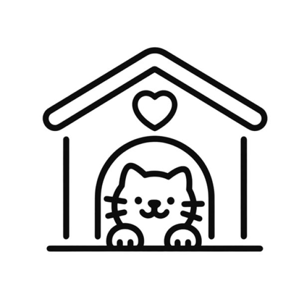 Cat coming soon Cat coming soon