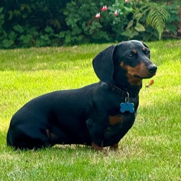 Coco SEPT 2026 (Resized for Website) Coco SEPT 2026 (Resized for Website)