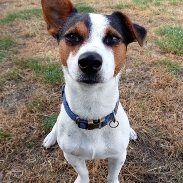 Freddie JRT Jun 2026
