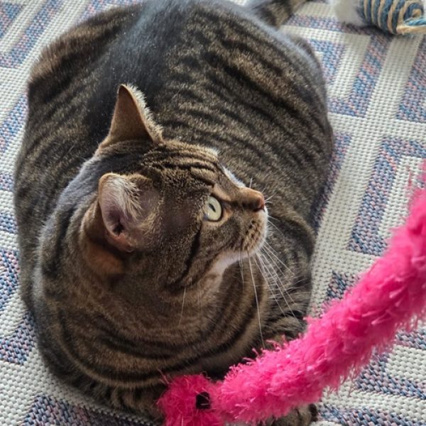 Mia New pic for Website Mia New pic for Website