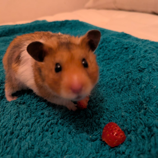 Murphy New Pic Murphy New Pic
